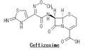 セフチゾキシム