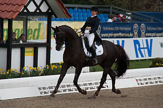 <span class="mw-page-title-main">Tanya Seymour</span> South African dressage rider