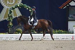 13-04-21-Horses-and-Dreams-Karin-Kosak (11 von 21) .jpg