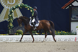 Karin Kosak dressage rider