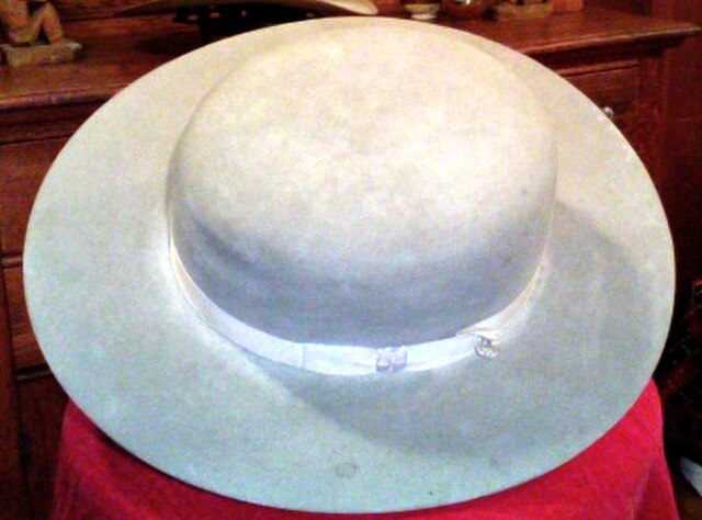 Boss of the plains hat