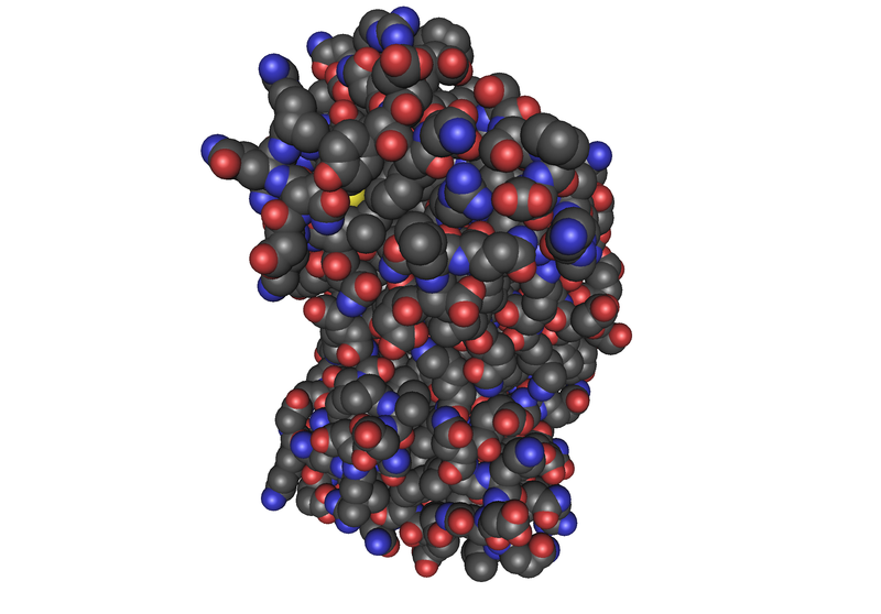 File:1D9C Bovine-Interferon-Gamma03.png