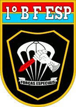 Miniatura para 1.º Batallón de Fuerzas Especiales