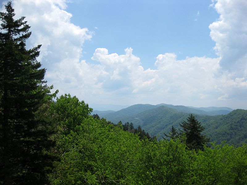 File:2010-05.newfound gap.jpg