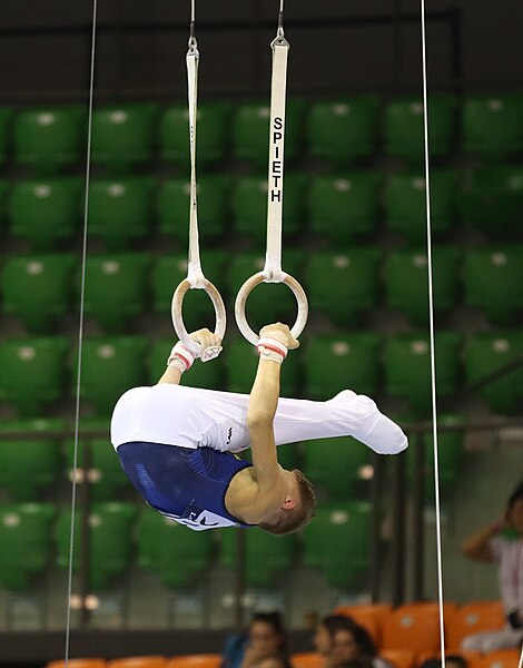 File:2019-06-27 1st FIG Artistic Gymnastics JWCH Men's All-around competition Subdivision 3 Still rings (Martin Rulsch) 273.jpg