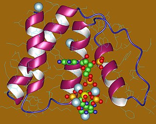 <span class="mw-page-title-main">Acyl-CoA-binding protein</span>