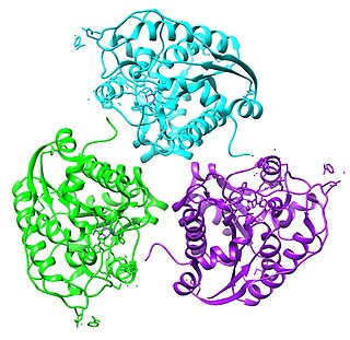 <span class="mw-page-title-main">ARG2</span> Protein-coding gene in the species Homo sapiens