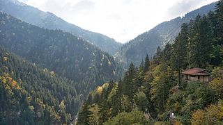 <span class="mw-page-title-main">Altındere Valley National Park</span> National park in Trabzon, Turkey