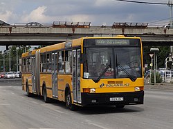 Ikarus 435-ös busz a Népligetnél