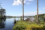 Thumbnail for File:A peaceful loch - geograph.org.uk - 5687875.jpg