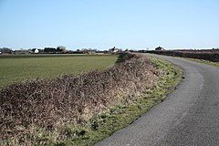 Ailby - geograph.org.uk - 1737993.jpg