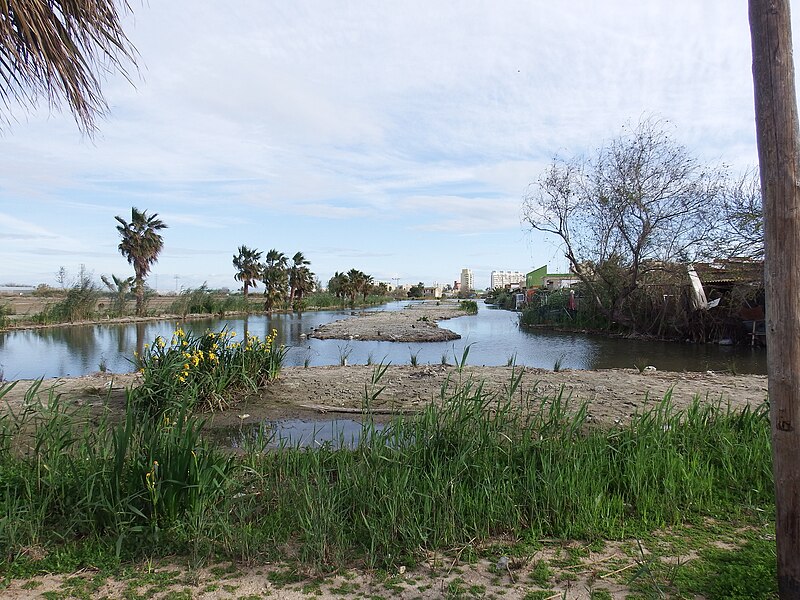 File:Albufera en El Perelló, Wiki Takes Sueca 06.jpg