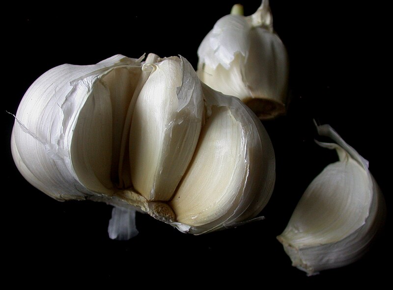 File:Allium sativum 15-p.bot-lilia.alliu-035.jpg