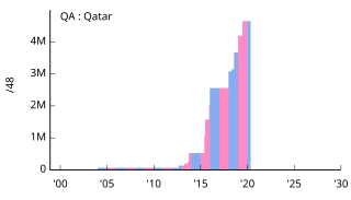 QA Qatar カタール