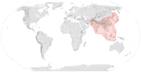 Verbreitungsgebiet von Apis cerana