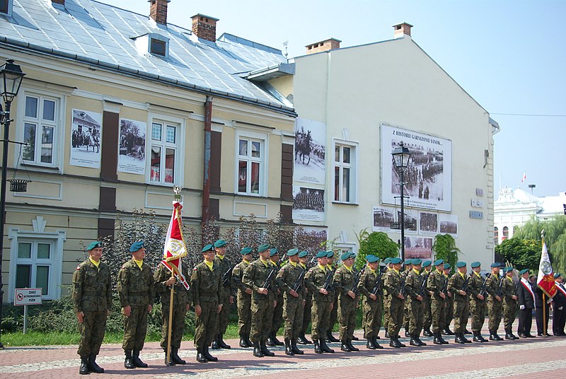 File:Armed Forces Day in Sanok (2015) 2b.jpg