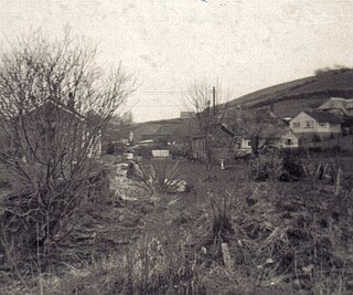 <span class="mw-page-title-main">Ashton railway station</span> Disused railway station in Devon, England