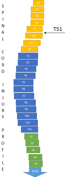 File:Athletic classes T51.png