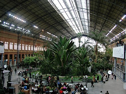 Tropical garden in Atocha