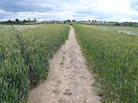 Avenue Washlands Nature Reserve