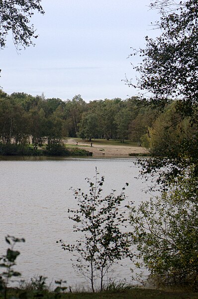 File:Baggersee im Maschener Moor.jpg