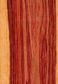 Brazilian tulipwood from Dalbergia decipularis Bahia01.jpg