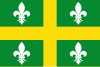 Flagge von Derio