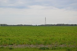 Felder in der Nähe der State Route 53