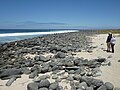 Distance photo of the Beach on North Seymour Island, Galapagos