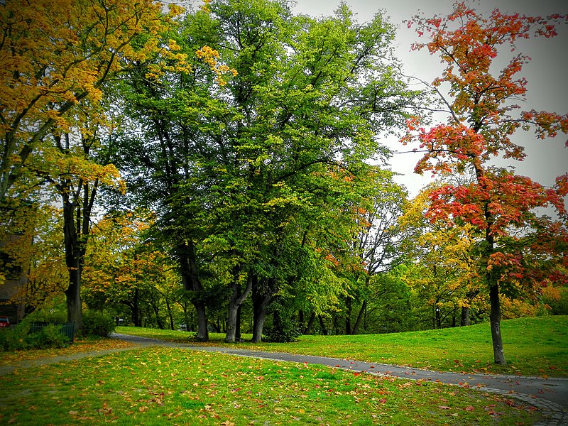 File:Beautiful park in Oslo.jpg
