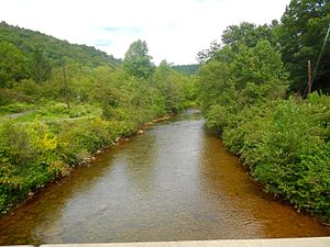 Beech Creek stream looking West (up stream) towards Centrebrick.