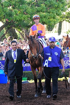 Imagen ilustrativa del artículo Beholder (caballo)