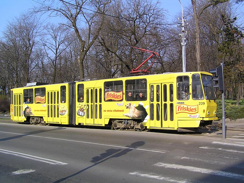 File:Belgrade tram (11).jpg