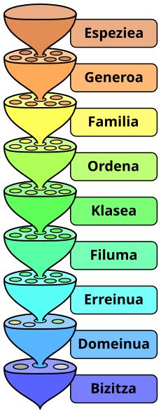 File:Biological classification L Pengo eu.svg