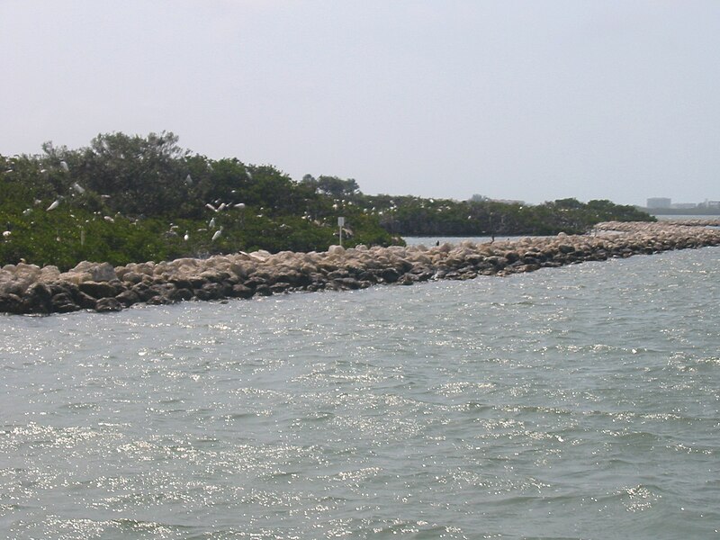 File:Bird sanctuary stop on Mote Marine Laboratory's boat tour 1.jpg