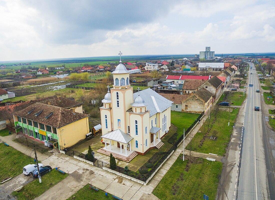 Comuna Cărpiniș, Timiș