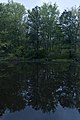 * Nomination Trees and Plants reflecting off Ashton Pond at Dawn before Sunrise -- Sixflashphoto 02:29, 7 October 2017 (UTC) * Promotion Awakening nature in the morning. Good quality. -- Johann Jaritz 03:12, 7 October 2017 (UTC)