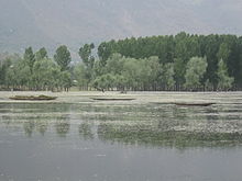 Boats floating in the Wular Lake