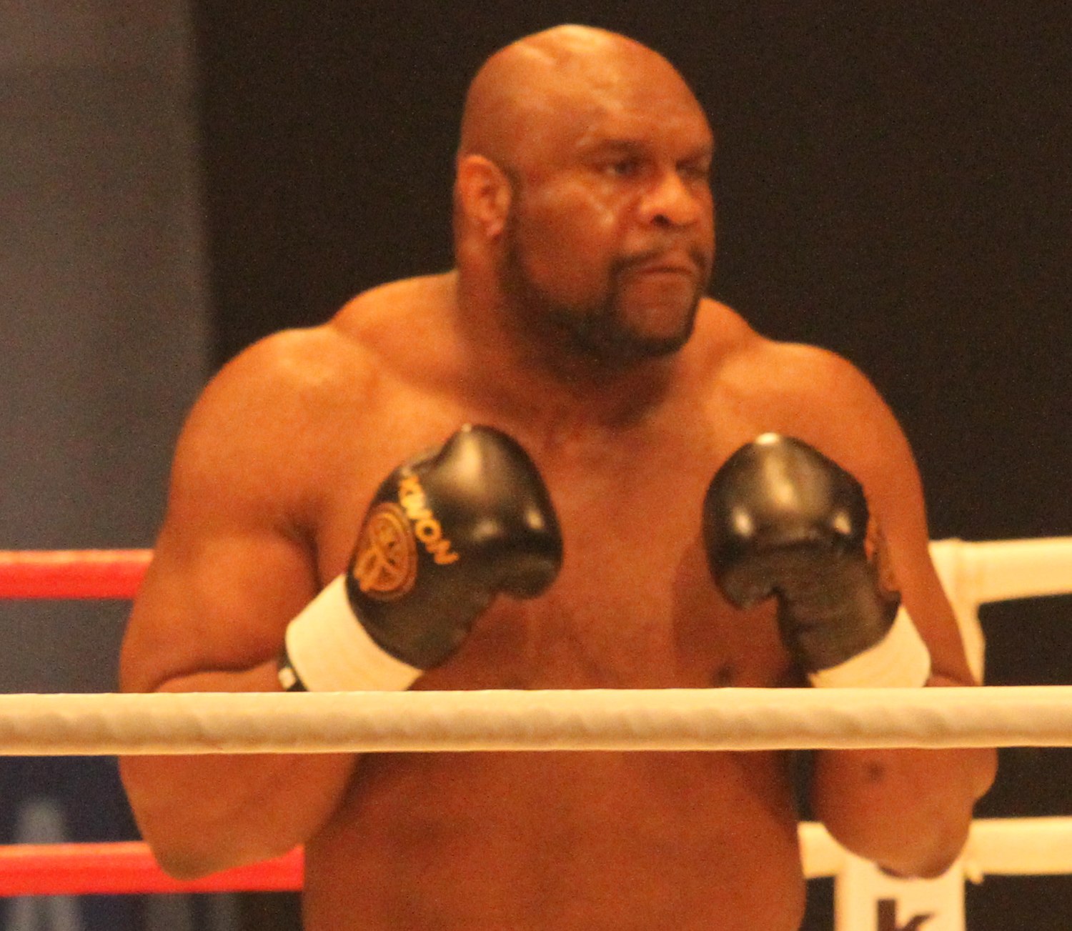 Bob Sapp - Wikiwand