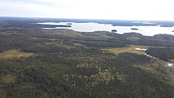 Pogled na borealnu šumu iz vazduha