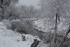 Borova river-1.jpg