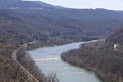 Brooks viewed from the Brooks Falls Overlook in 2022