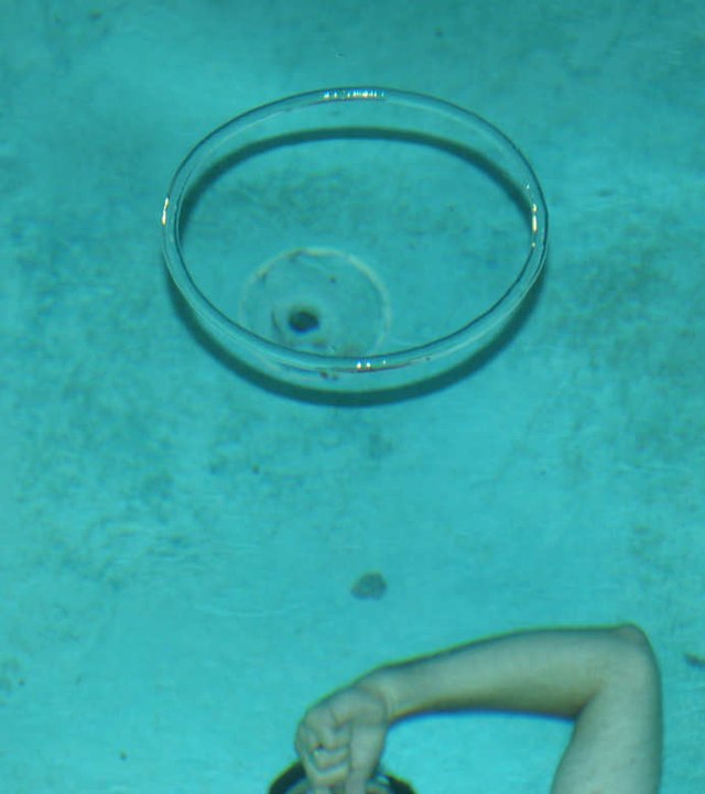 Bubble ring - Wikipedia