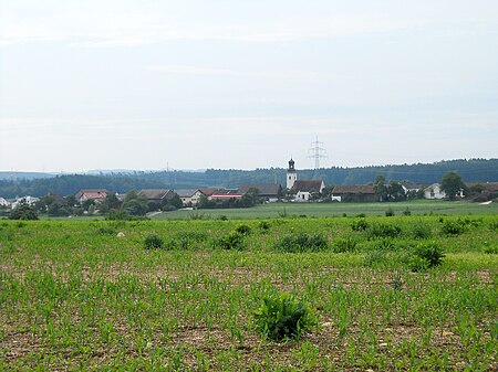 Buchenhüll (1)