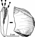 Vorschaubild für Stichel (Archäologie)