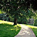 Công viên Buttes-Chaumont