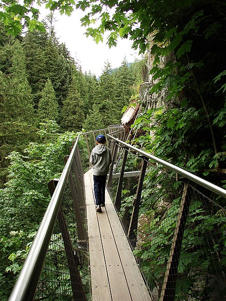 File:Capilano-Suspension-Bridge-Cliff-Walk-8962.jpg