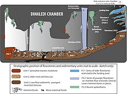 Homo Naledi: Ontdekking, Naamgeving, Datering