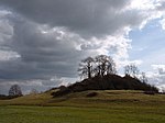 Fenny Castle: a motte and bailey castle