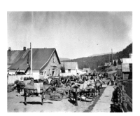 1911 mule train in British Columbia